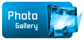 photo gallery icon